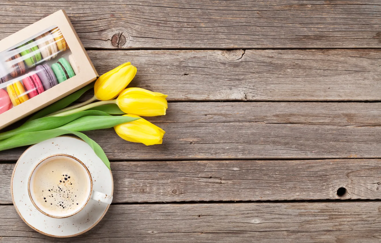 Фото обои цветы, colorful, тюльпаны, wood, flowers, tulips, coffee cup, macarons