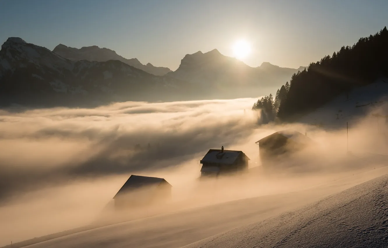 Фото обои свет, горы, туман, утро