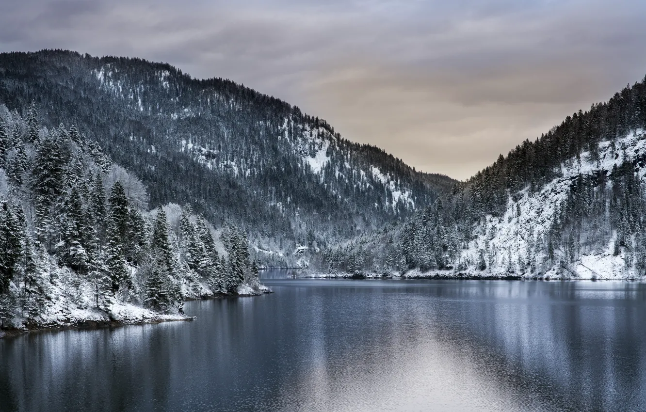 Фото обои зима, деревья, горы, водоем