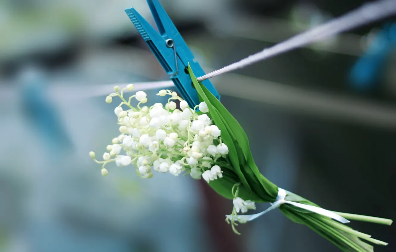 Фото обои белый, цветок, синий, весна, веревка, прищепка, ландышы