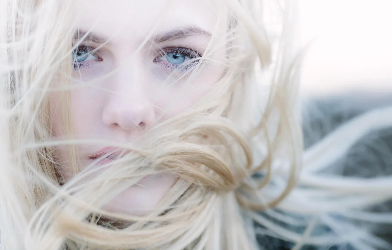 Фото обои взгляд, портрет, светловолосая