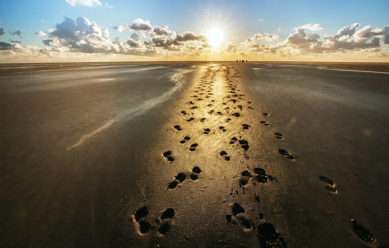 Фото обои песок, следы, берег