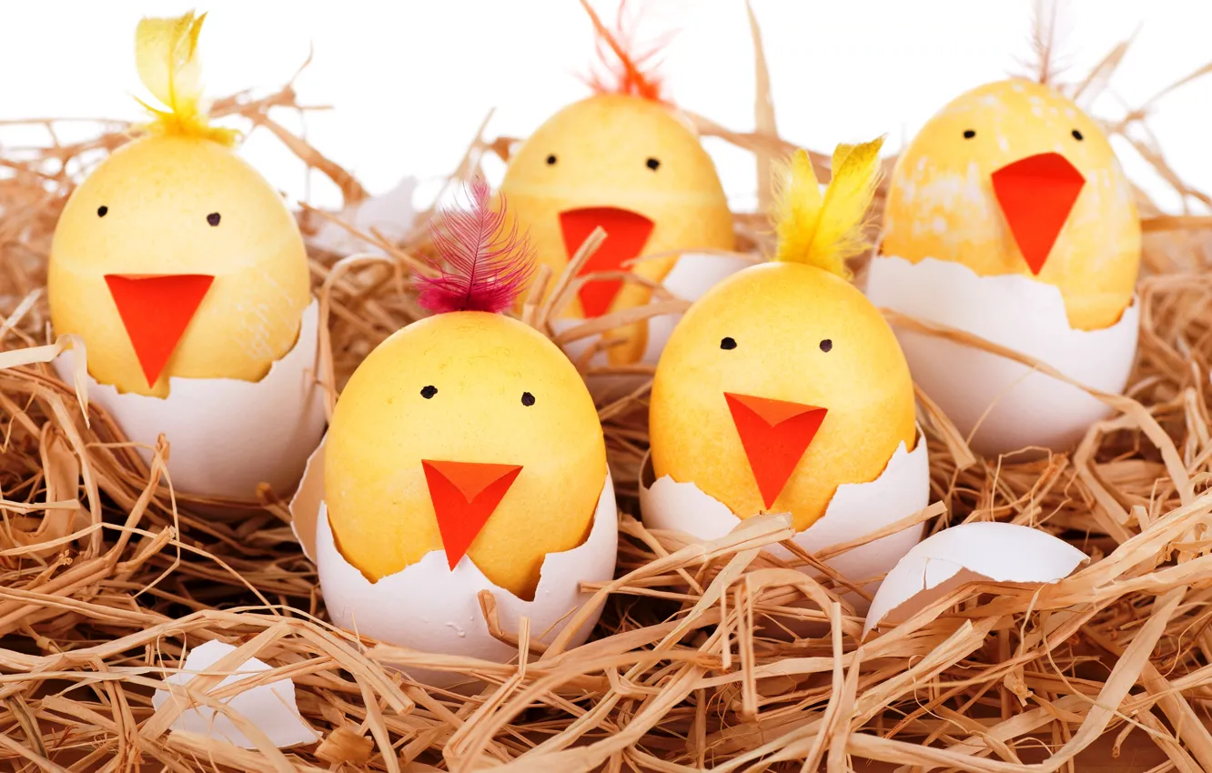 Фото обои яйца, гнездо, улыбки, smile, Easter, eggs, funny
