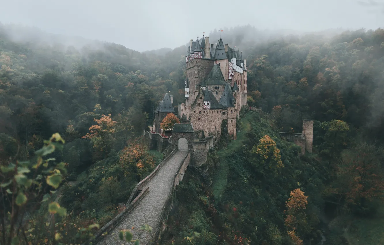 Фото обои осень, лес, деревья, замок, Германия