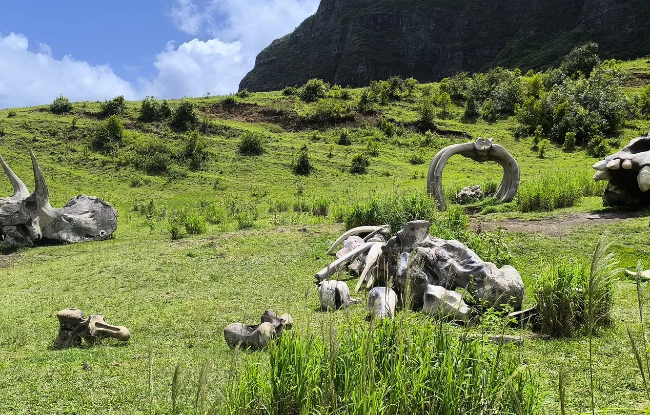 Фото обои Hawaii, Oahu, Kong, Kong Skull Island