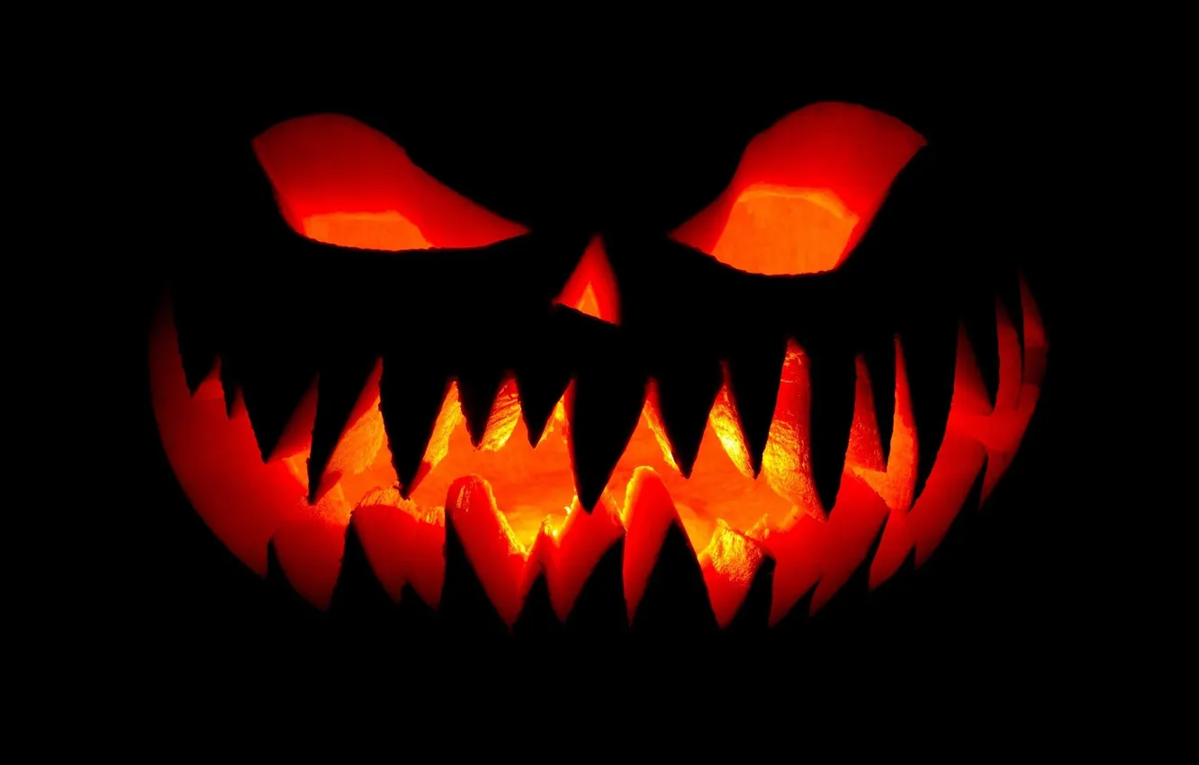 Фото обои Halloween, holiday, pumpkin, All Saints' Eve