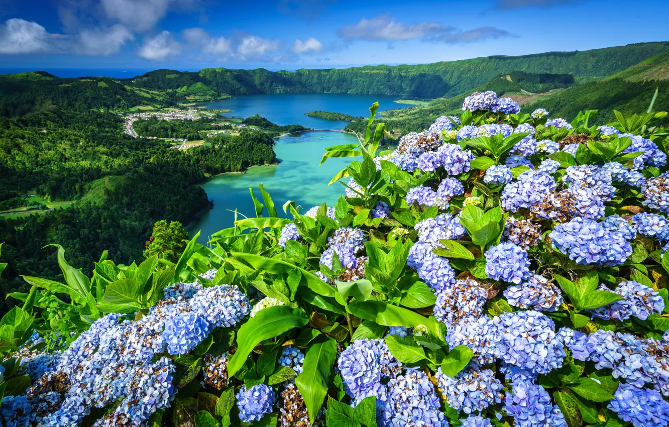 Фото обои пейзаж, цветы, горы, природа, озеро, холмы, растительность, Португалия