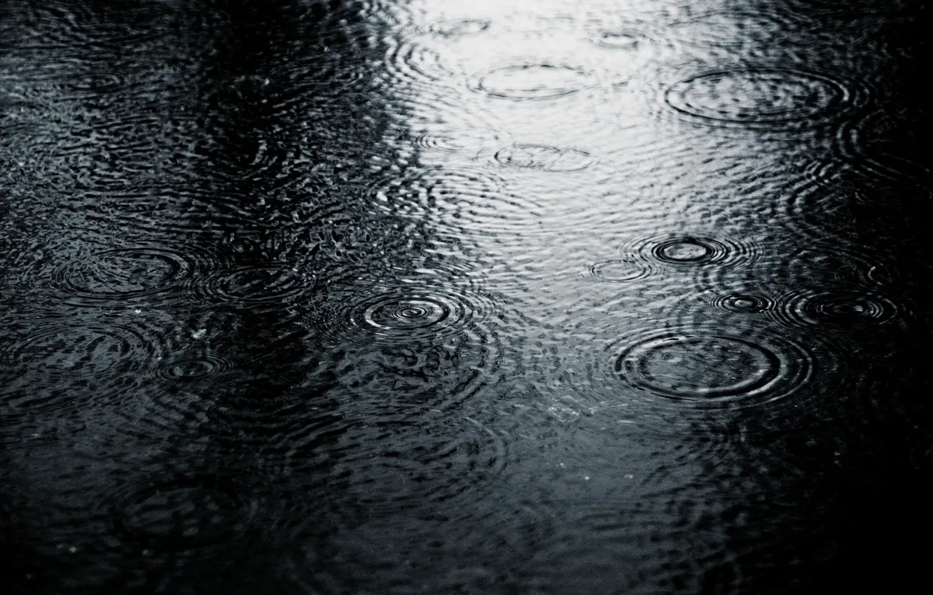 Фото обои холод, капли, природа, дождь, чёрно-белое, лужа