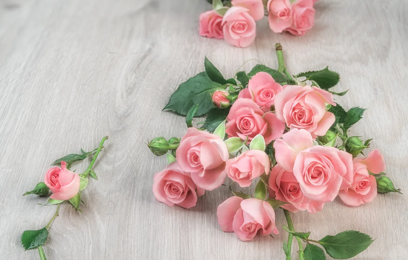 Фото обои стол, розы, розовые, бутоны