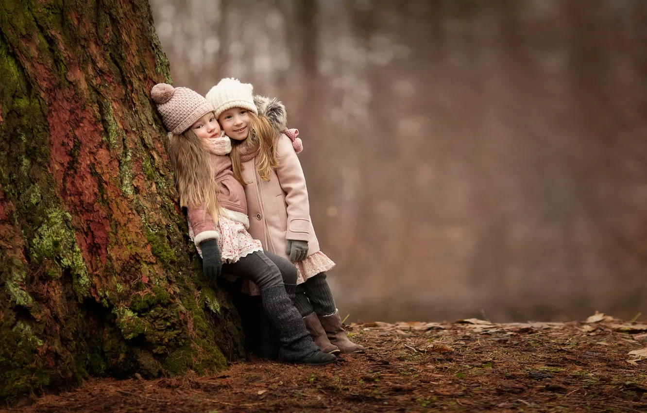 Фото обои лес, радость, дети, настроение, девочки, встреча, подружки