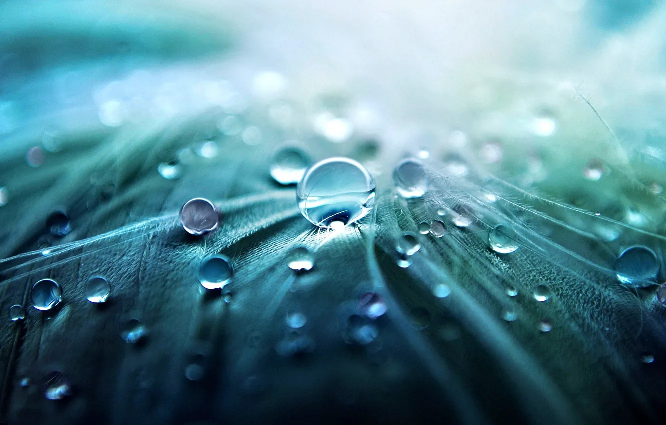 Фото обои rain drops, drops of water, artstation