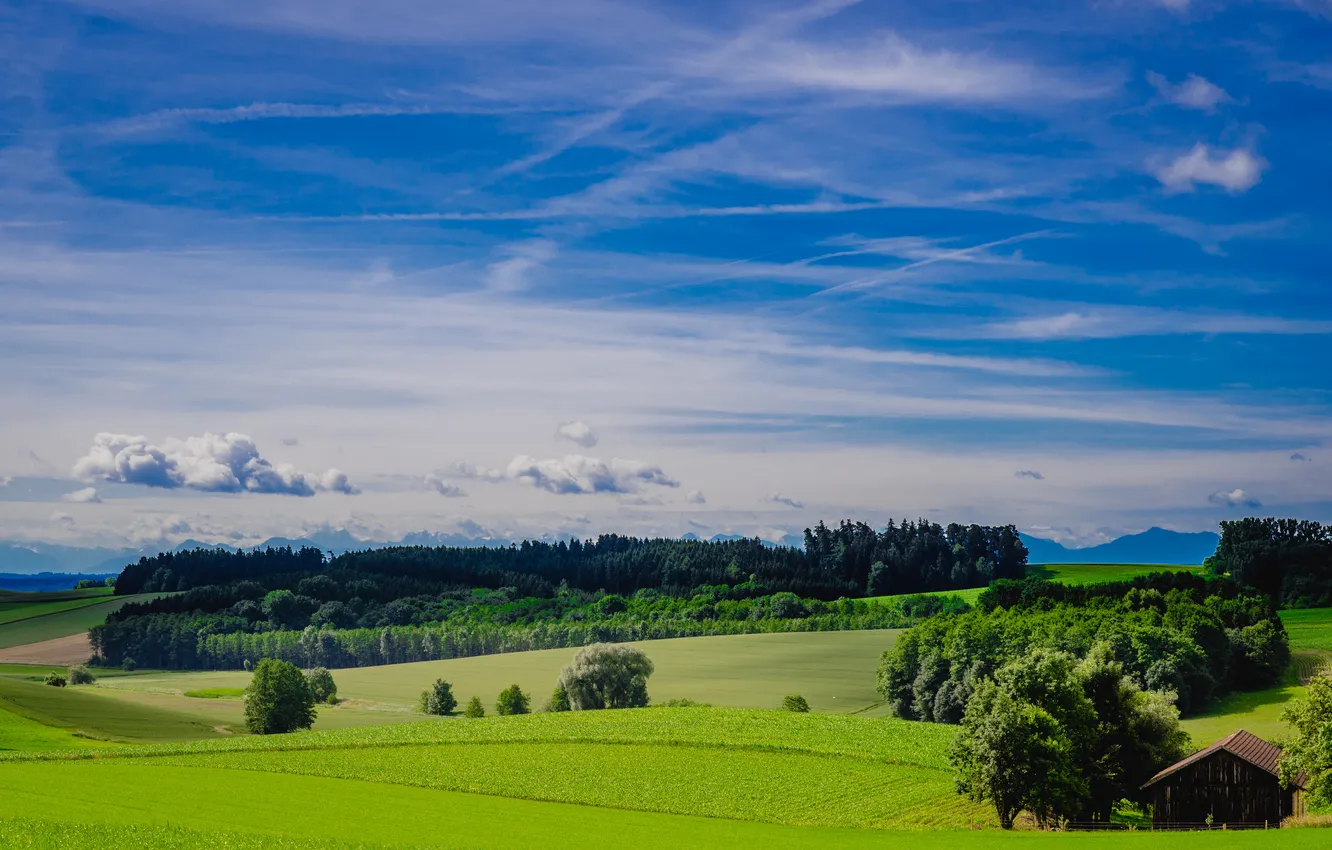 Фото обои поле, небо, трава, облака, деревья, зеленый, долина, сарай