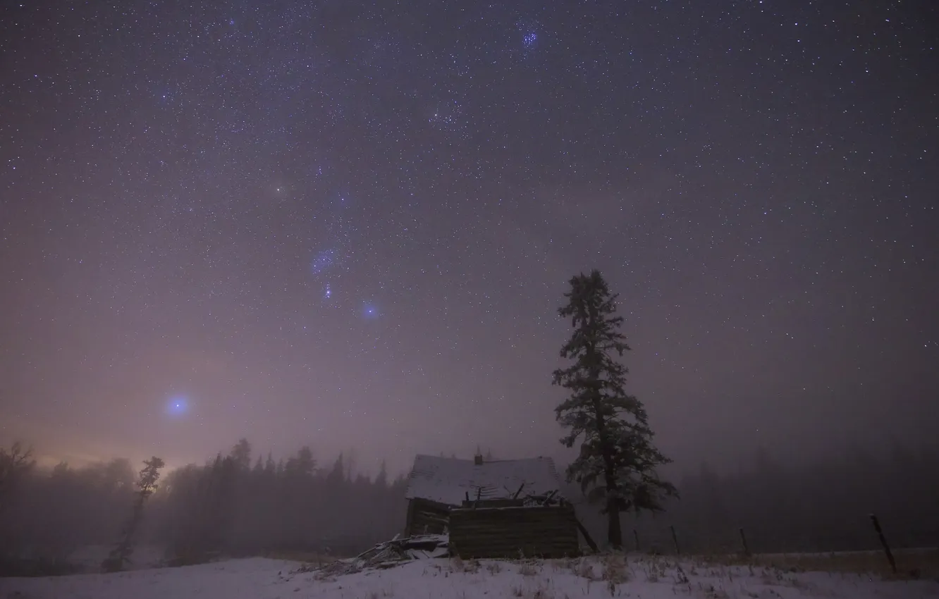 Фото обои небо, звезды, туман, дом, дерево