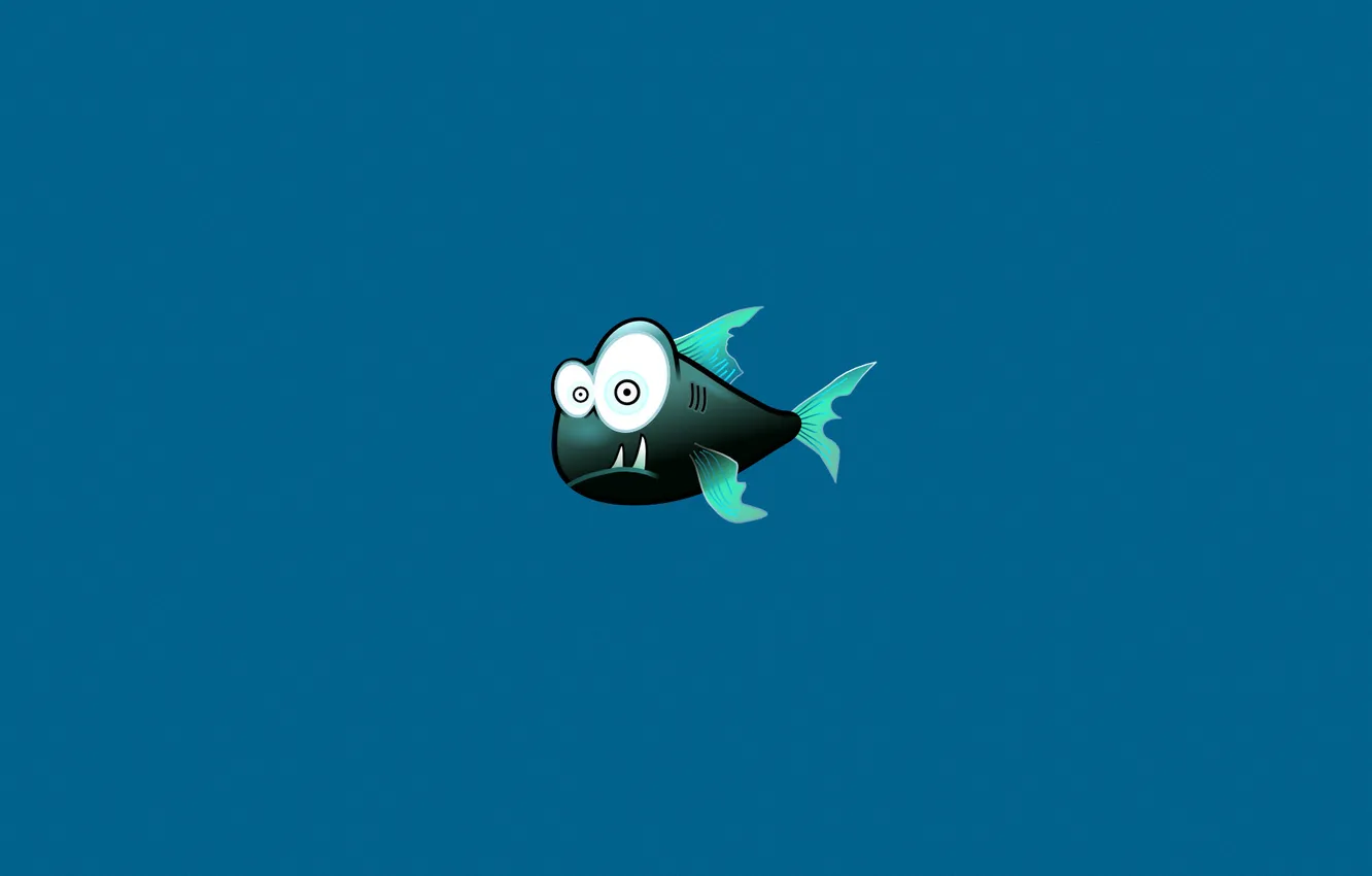 Фото обои минимализм, рыба, зубы, синий фон, пиранья, зубастая, Piranha