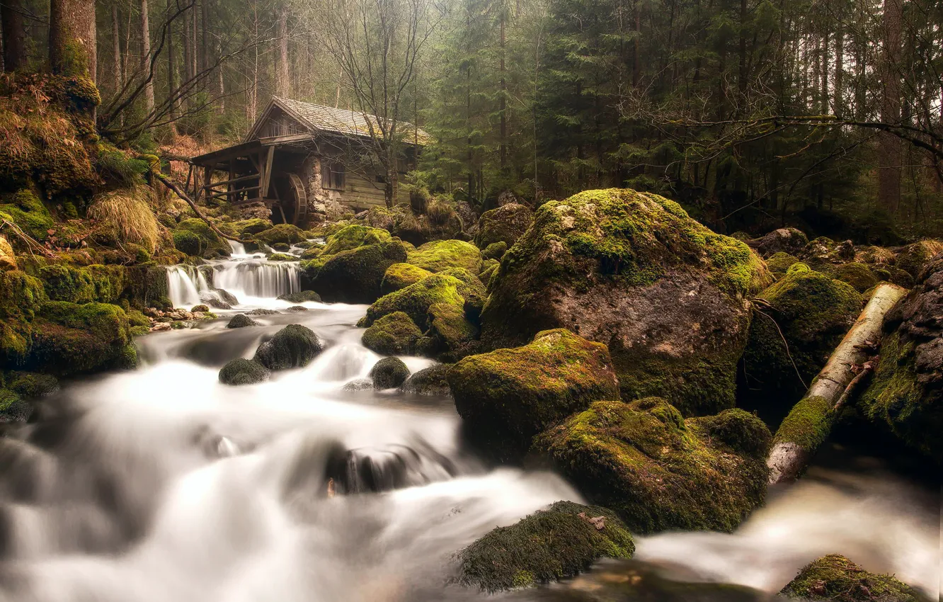 Фото обои лес, река, камни, мох, Австрия, дымка, водопады, водяная мельница