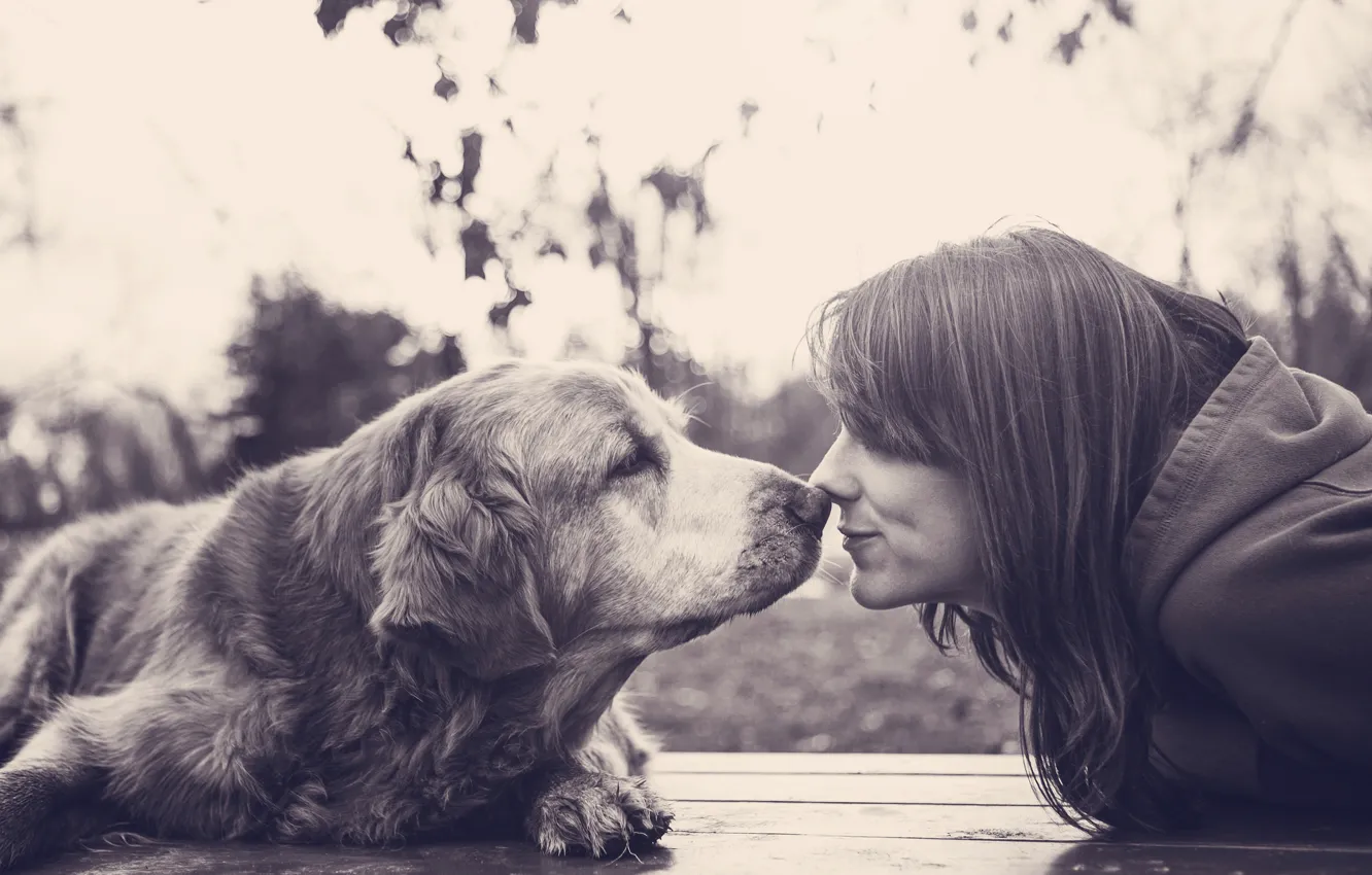 Фото обои девушка, улыбка, собака, Girl, друзья, smile, dog, friendship