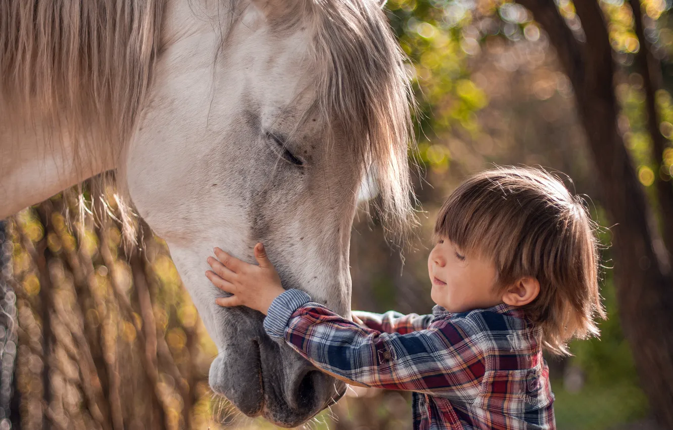 Фото обои настроение, конь, мальчик
