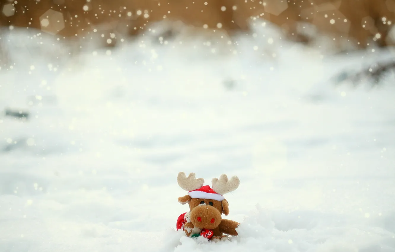 Фото обои зима, снег, игрушка, лось