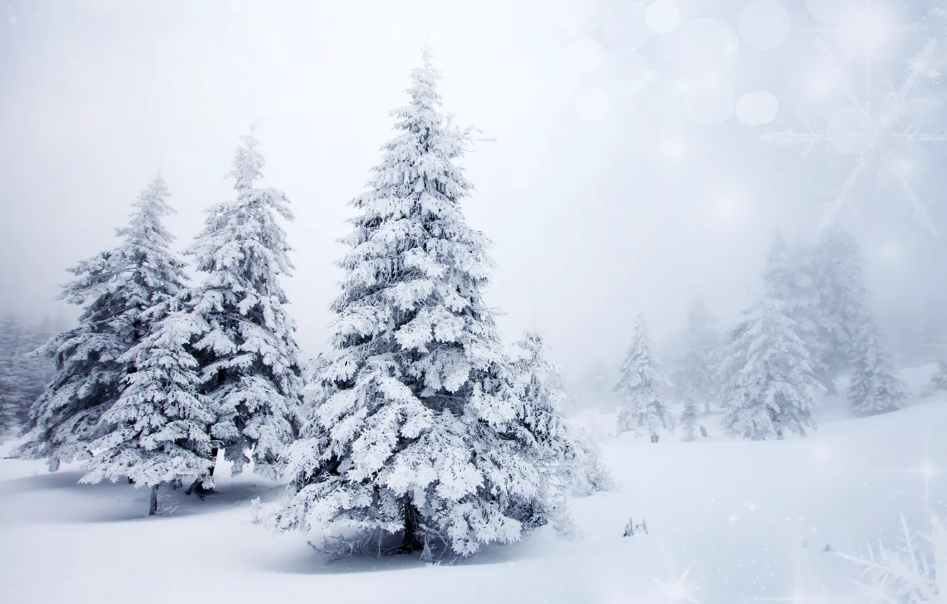 Фото обои зима, снег, деревья, пейзаж, снежинки, природа, фон, елки