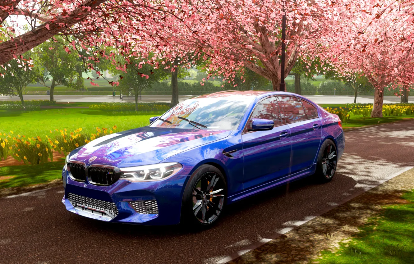 Фото обои Сакура, BMW, Дождь, БМВ, Sakura, M5 Competition, Forza Horizon 4, BMW M5 F90