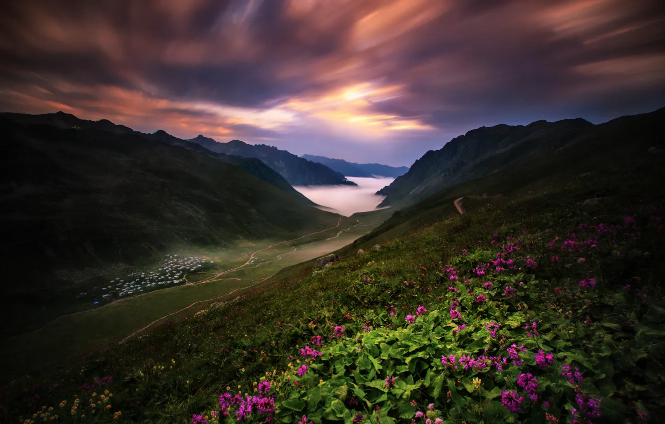 Фото обои цветы, горы, склоны, долина