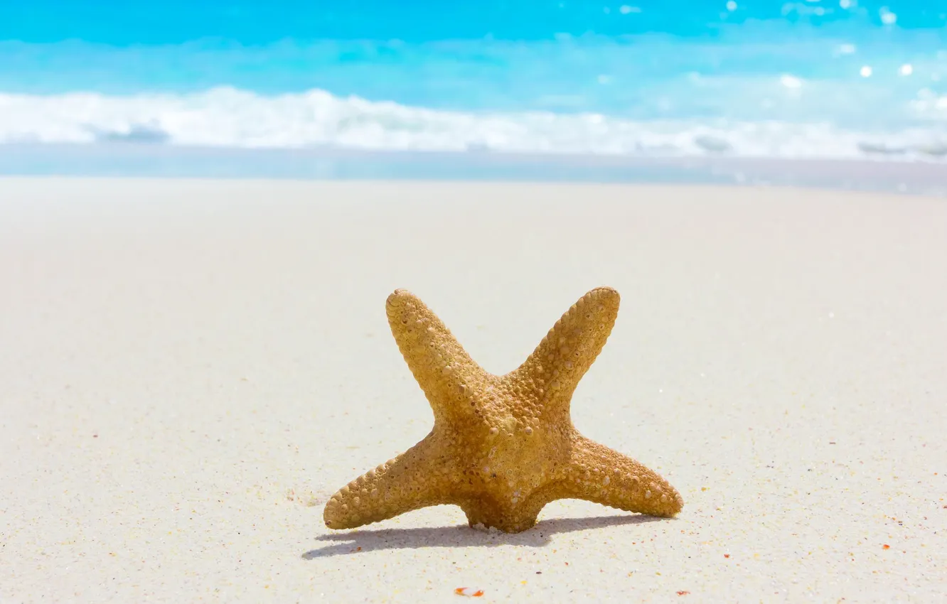 Фото обои море, пляж, лето, природа, summer, beach, sea, nature