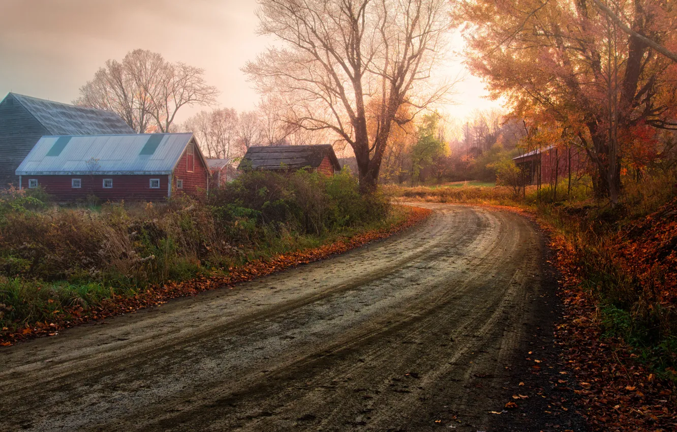 Фото обои дорога, осень, природа, деревьня
