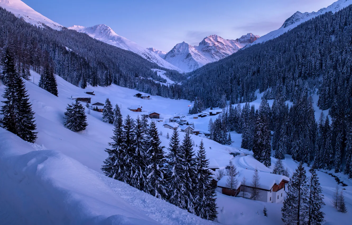 Фото обои зима, лес, снег, горы, Швейцария, ели, деревня, Альпы