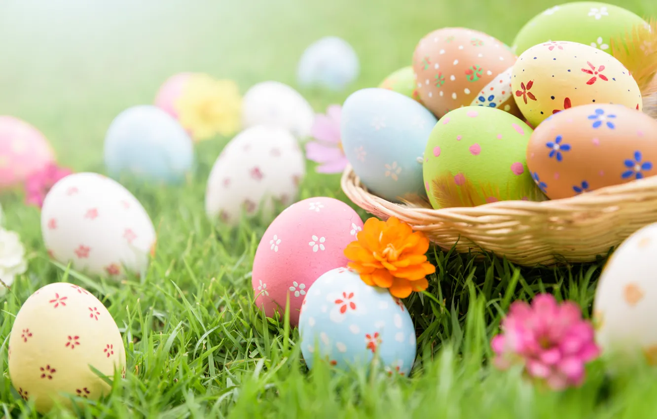 Фото обои трава, цветы, яйца, Пасха, spring, Easter, eggs, decoration