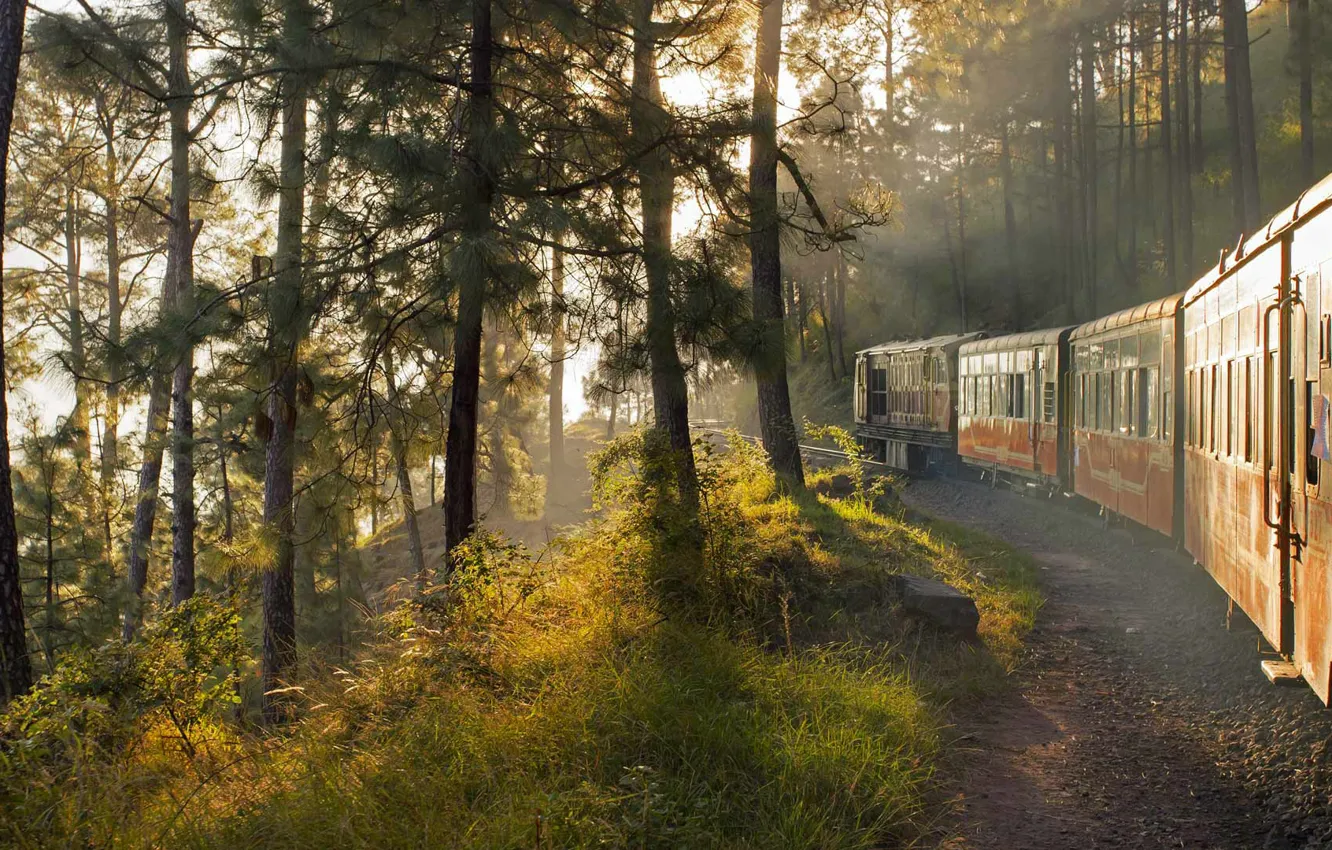 Фото обои поезд, Индия, вагон, железная дорога, Калка-Шимла