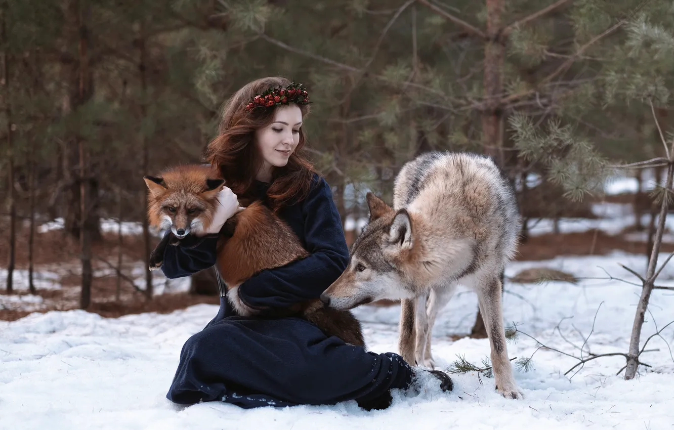 Фото обои девушка, волк, лиса