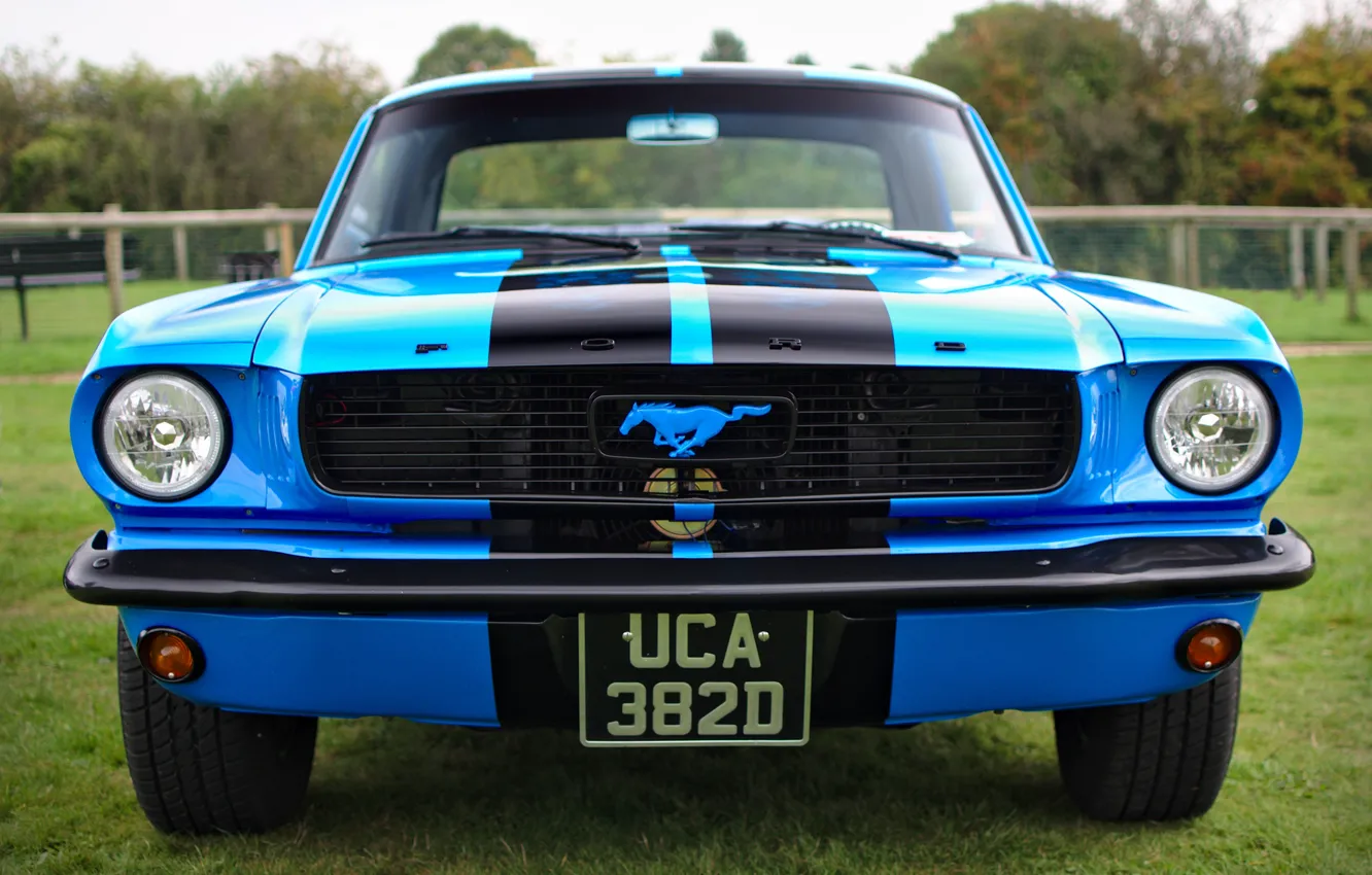 Ford Mustang 1967 спереди