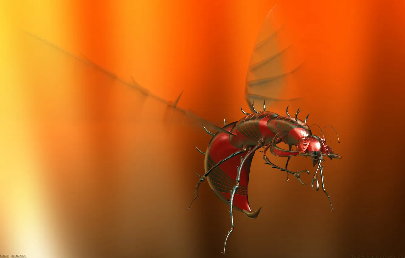 Фото обои жук, Sabre Hornet, алюминевый комар