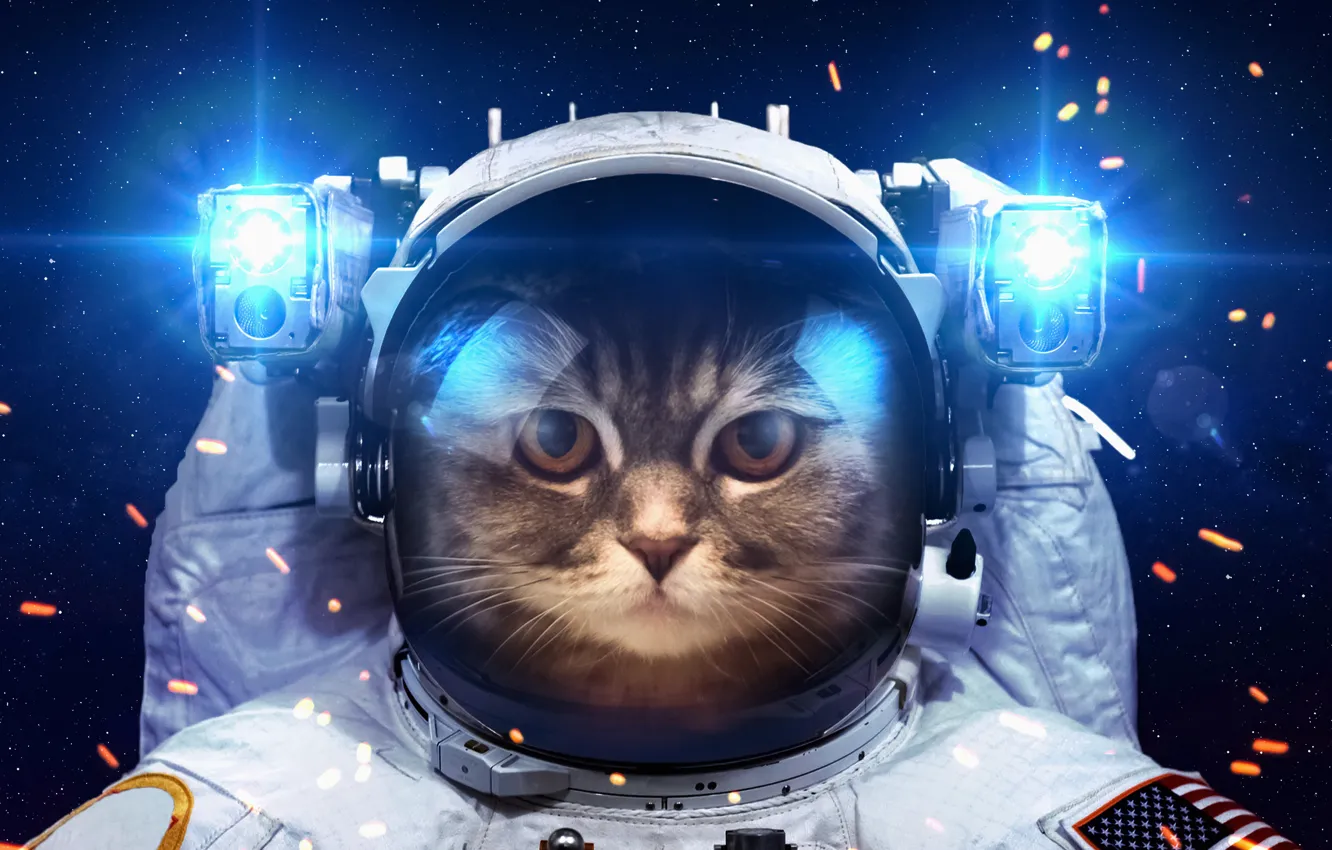 Фото обои кот, космос, свет, юмор, космонавт, скафандр, фонарики