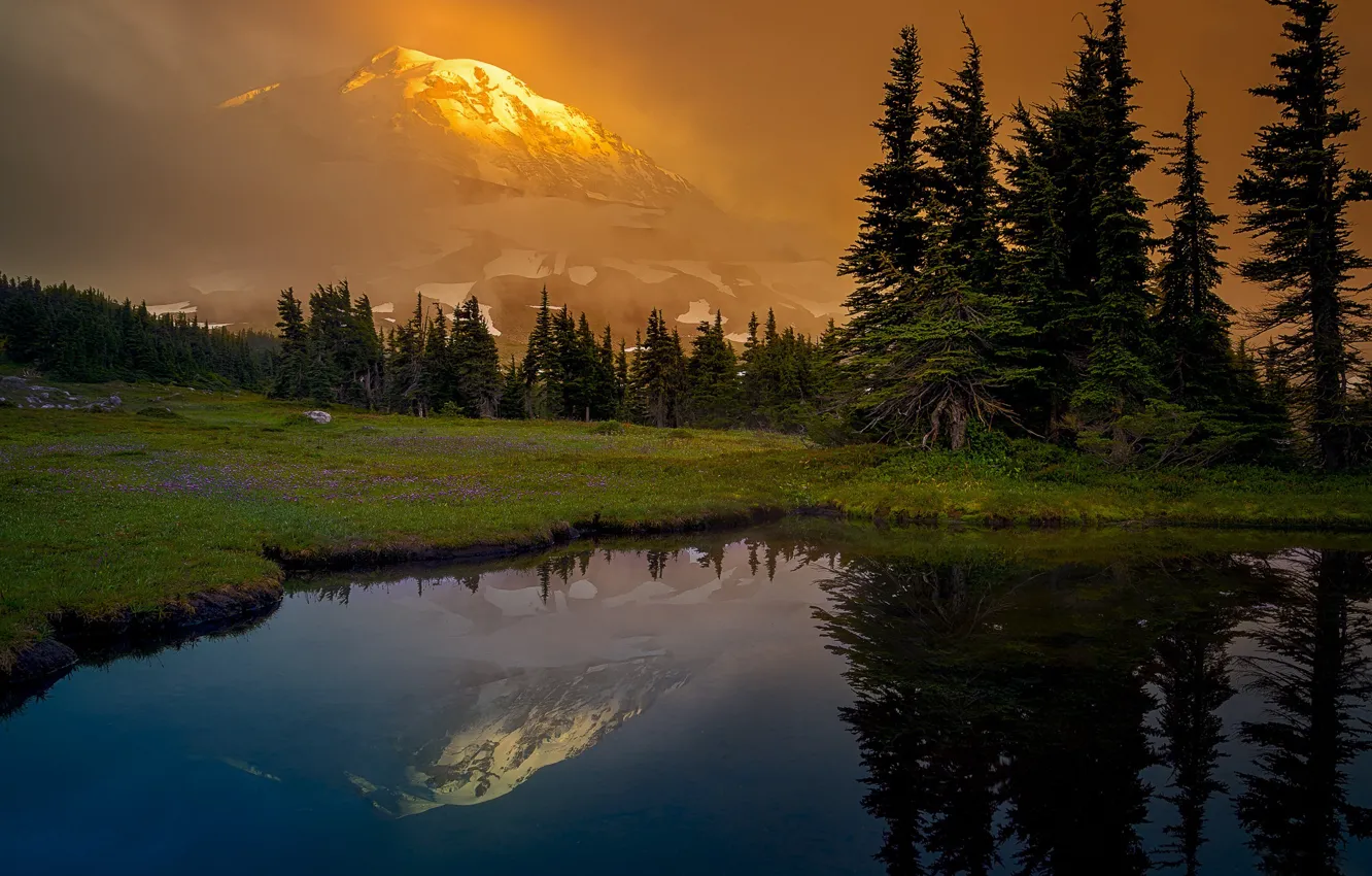 Фото обои лес, горы, озеро, отражение, поляна, ели, штат Вашингтон, Mount Rainier