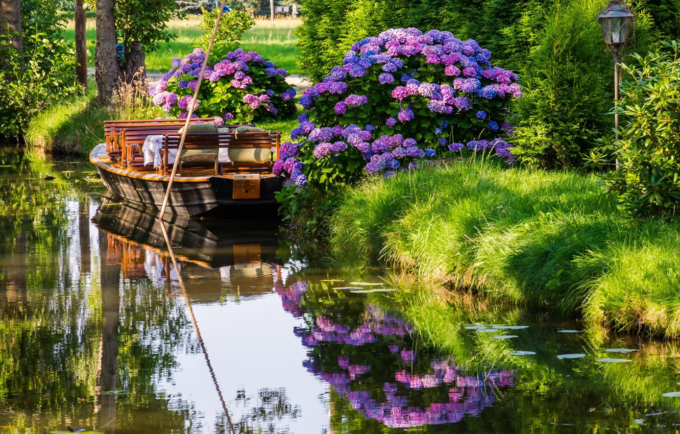 Фото обои лето, вода, отражение, река, лодка, цветение, гортензия
