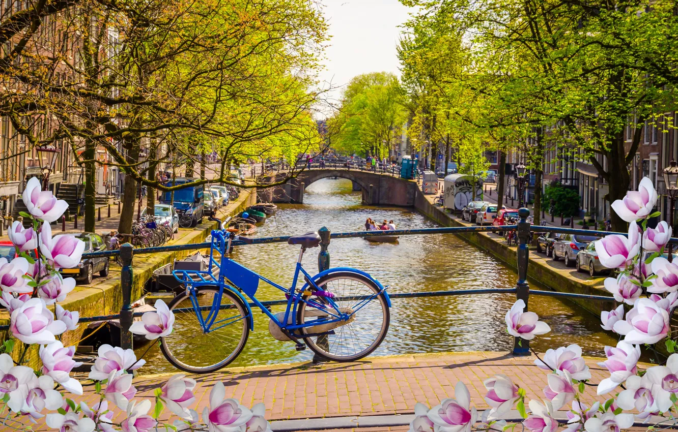 Фото обои мост, велосипед, река, весна, Амстердам, цветение, bridge, blossom