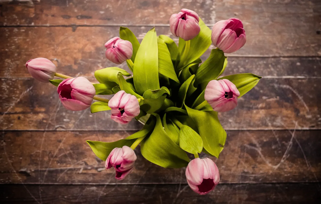 Фото обои букет, весна, тюльпаны, wood