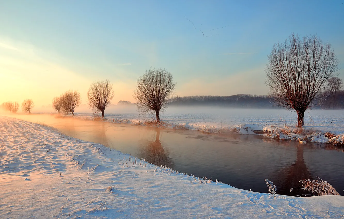 Фото обои зима, свет, деревья, река, канал, лебедь