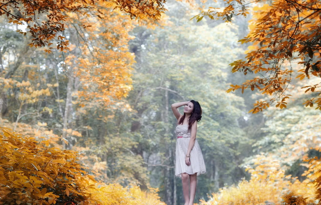 Фото обои лес, девушка, деревья, радость, улыбка, Осень, платье