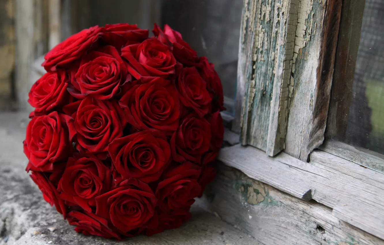 Фото обои макро, трещины, розы, букет, окно, красные, подоконник