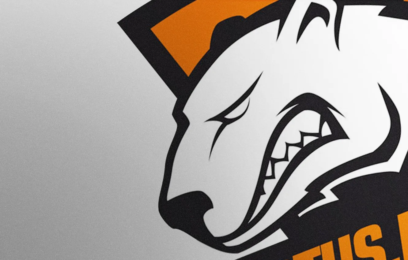 Фото обои логотип, game, Team, csgo, Minimalism, Virtus.pro, Counter-Strike: Global Offensive, CS:GO