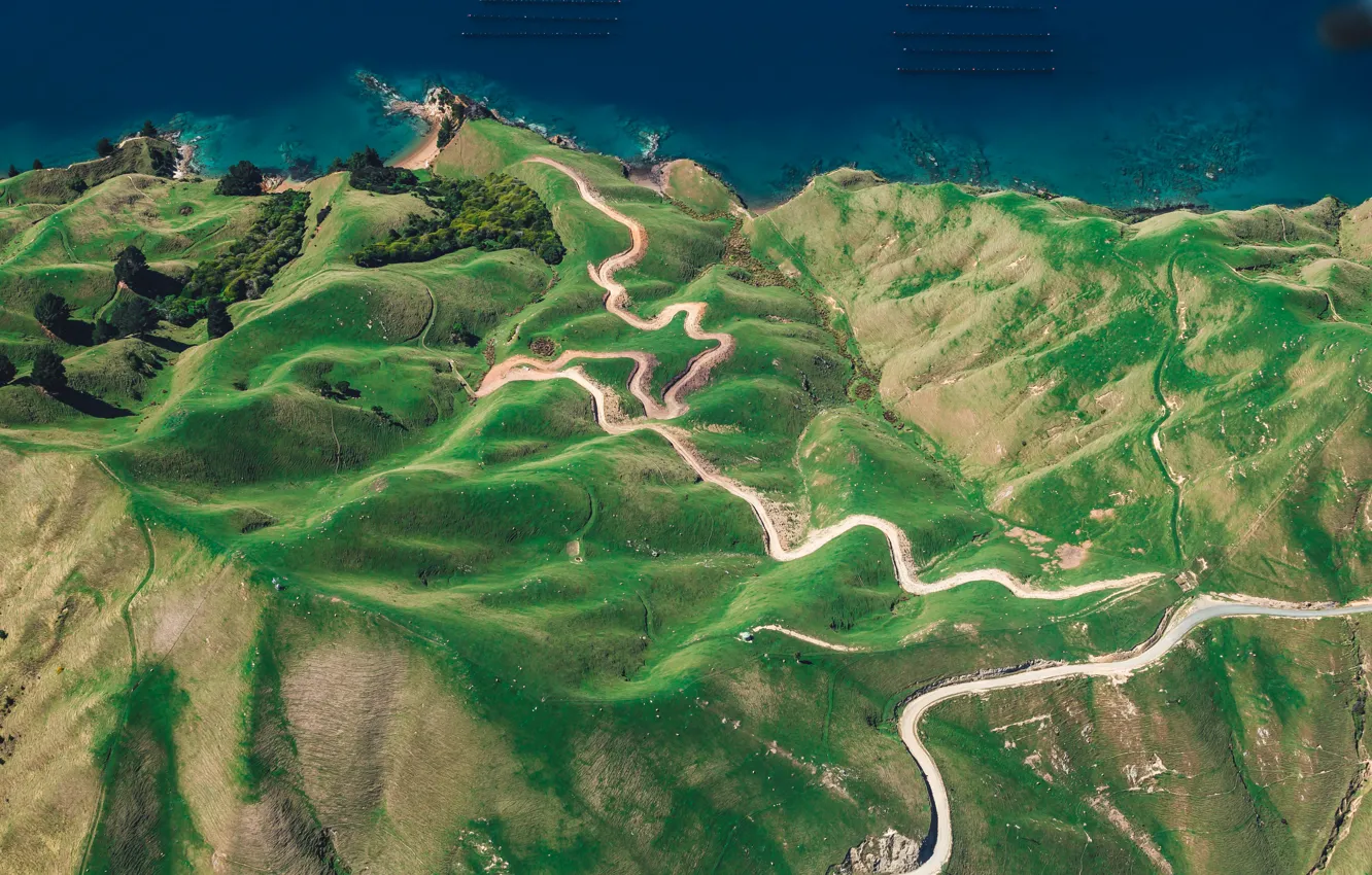 Фото обои дорога, деревья, берег, побережье, Новая Зеландия, New Zealand, вид сверху, Тасманово море