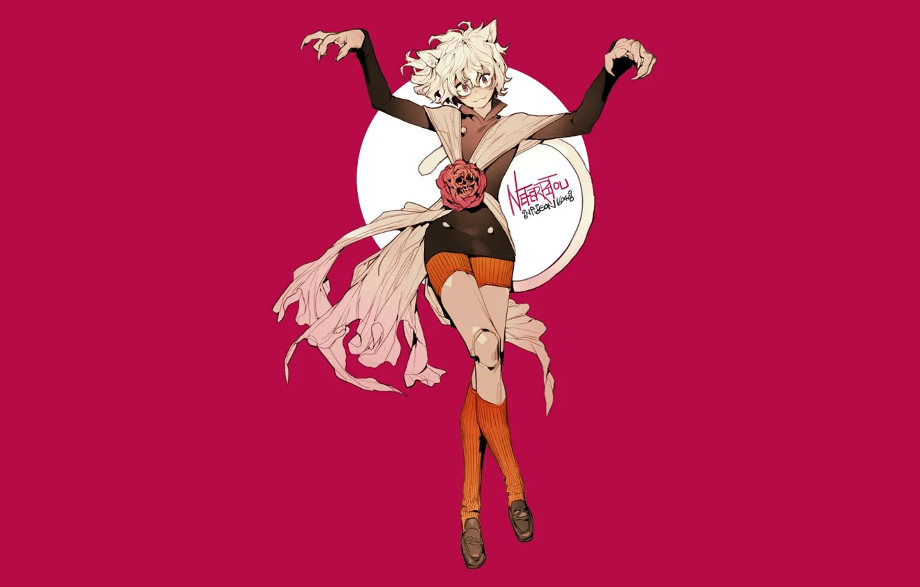 Фото обои Hunter x Hunter, Охотник х Охотник, Nefelpitou