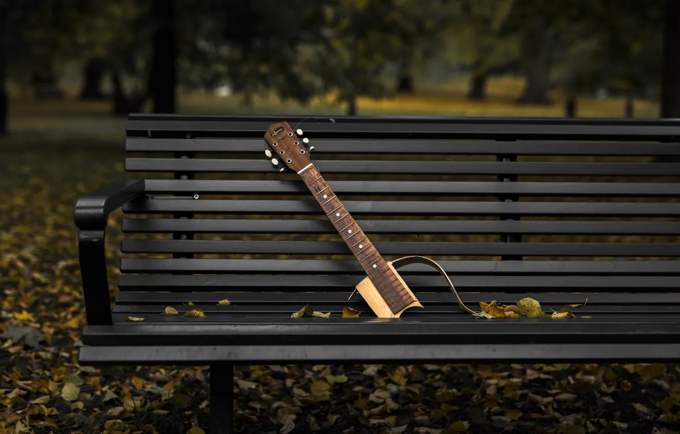Фото обои осень, парк, гитара, скамья