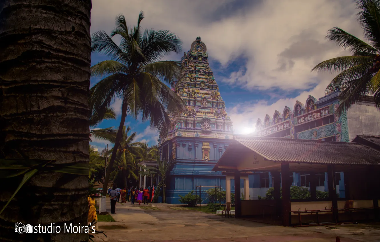 Фото обои nature, temple, thanu, Sri lanka, thanujan, thanujan thanabalasingam, thanujan_t, thanujan13