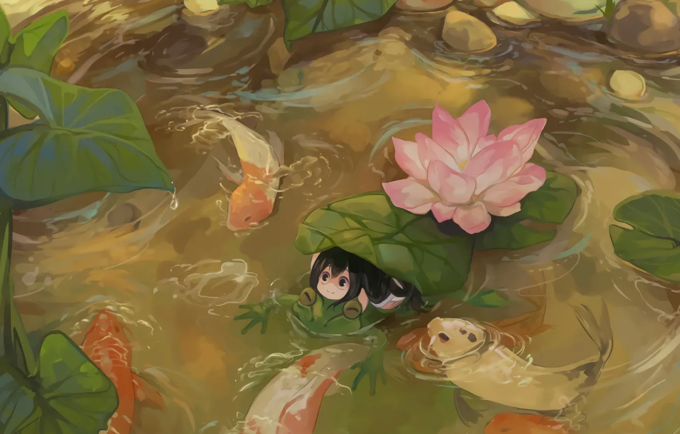 Фото обои лягушка, в воде, смотрит вверх, розовый лотос, листья лотоса, карпы кои, Tsuyu Asui, Моя Геройская …