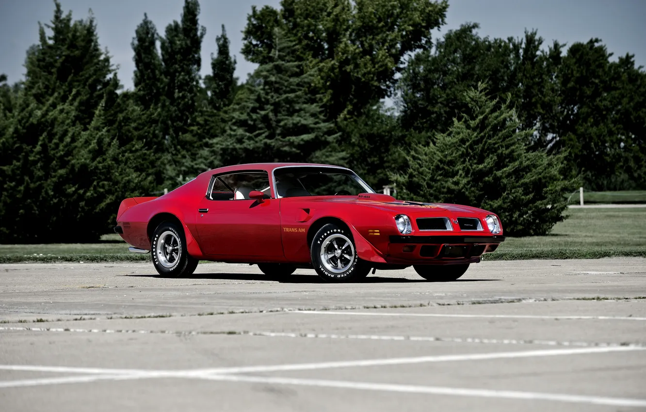 Фото обои Pontiac, понтиак, Firebird, 1974, фаерберд