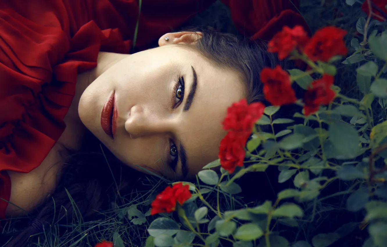 Фото обои взгляд, девушка, цветы, красное