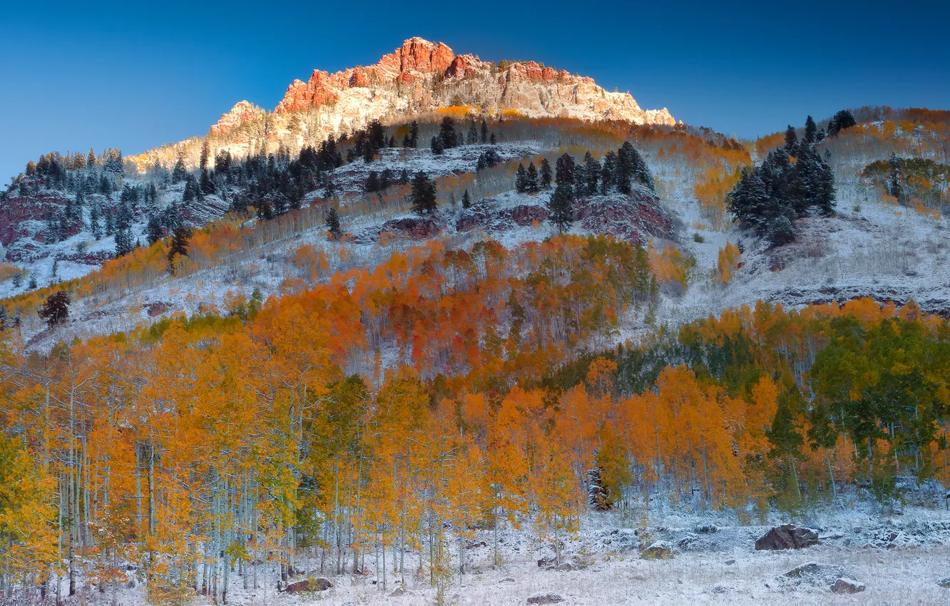 Фото обои осень, лес, небо, снег, деревья, закат, горы